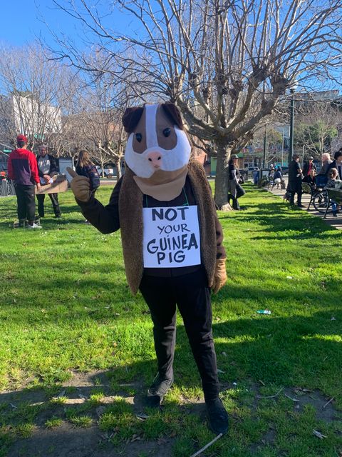 An antivaxxer stands in front of a bare tree in the background along with a few other people standing around conversing. The antivaxxer, giving a thumbs up towards the camera is wearing dark clothes but on their head and draping over their shoulders is a homemade guinea pig mask that, honestly, looks more like a hamster. It's light brown and white, has two black eyes, and, for some reason, a light pink alien head for a nose