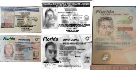 Drivers licenses and concealed carry permits issued by the State of Florida, with personal information removed for privacy