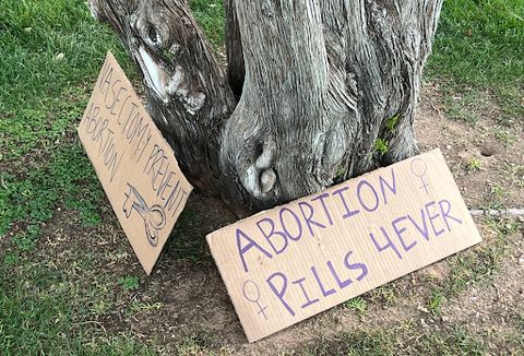 two homemade cardboard signs sit against a tree on the Capitol lawn. One reads 'vasectomy prevent abortion' the other says 'abortion pills 4ever'