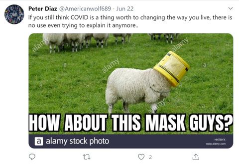 Diaz shares a meme comparing people wearing masks to sheep.