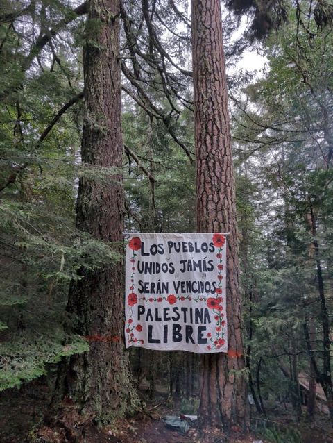 a banner between two trees that reads "los pueblos unidos jámás serán vencidos, palestina libre"or "the people united will never be defeated, free Palestine" in english