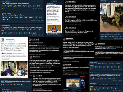 nearly 2 dozen screenshots from Wendy Rogers’ Twitter and Telegram accounts where she’s calling trans people slurs, calling LGBTQ people 'groomers' and critcizing the RNC and Republicans who support Pride Month