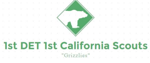 Logo of the 'First Detachment California Scouts' aka 'Grizzly Scouts,' a boogaloo boy militia.'