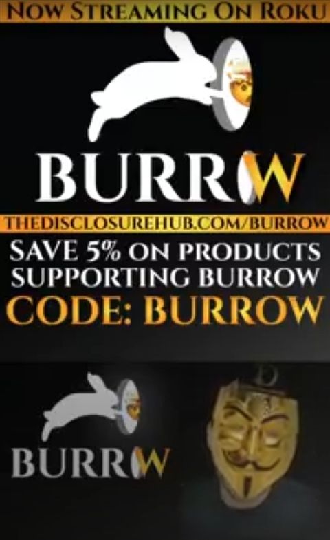 This is a still from a vertical video. At the top is the burrow logo: a white rabbit silhouette jumping into a hole with a mind-blown emoji inside it. Below the rabbit is the text "Burrow." Below this is a URL for users to support Felix and Horat's channel, as well as some text. It reads, "save 5% on products supporting burrow. Code: Burrow." 
The bottom part of the frame consists of the same Burrow logo, and Felix in the bottom right hand corner. He has a filter on to obscure his face. The filter tracks his movements and keeps a golden Guy Fakwes mask over his face. 