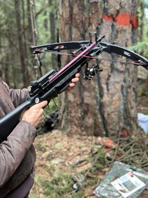 a person holds a crossbow in the middle of a forest