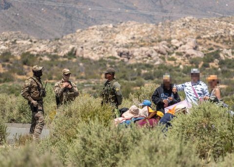 border patrol agents stand behind some sagebrush bushes next to a group of asylum seekers