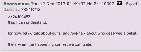 “For now, let /k/ talk about guns and /pol/ talk about who deserves a bullet. Then, when the happening comes, we can unite,” one 4chan user wrote on /pol/ in 2013.