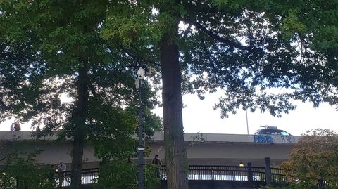 A color photo looking up towards an overpass past three tall, mature trees with green foliage. On the overpass, to the right, the top of a Chrysler Town & Country van can be seen with a large makeshift syringe on top. Two of the trees and the EPD Guardian tower can be seen in the middle. To the left, in a break of the foliage, are three individuals on the overpass talking.