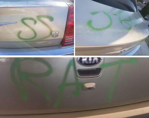3 photos of cars are vandalized with green spray paint, the first two pictures appear on the same car, one reads 'SS' the other reads 'Jews.' Another car has 'rat' sprayed on it.